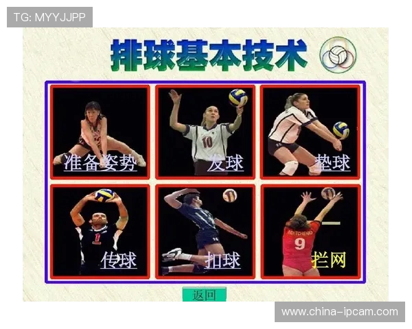 广州排球队反击战术深度解析与实战应用探讨