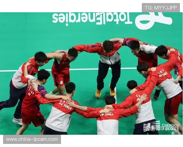 对话赵芳：回顾羽毛球生涯的辉煌与挑战与未来展望