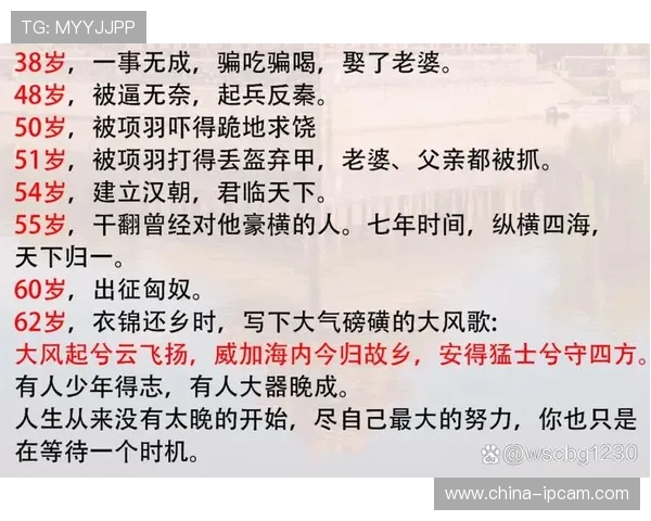 深圳足球队逆袭之路：从低谷到巅峰的精彩历程与奋斗精神