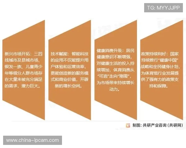运动创新与健康生活方式的融合发展探索：从全民健身到智能体育的未来趋势