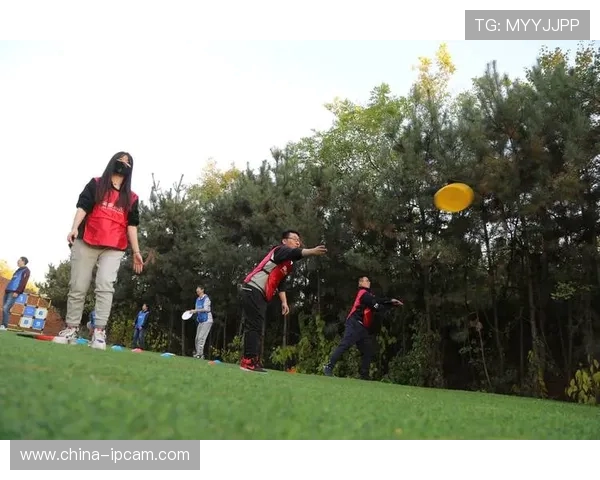 飞盘竞技新视角：深入分析重庆飞盘队的战术布局与团队协作