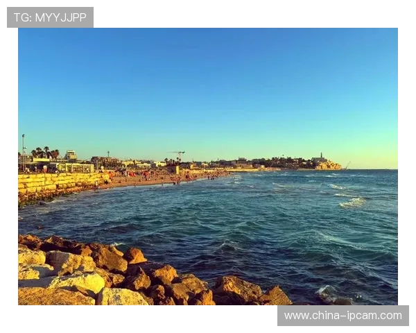 探索巴塞罗那:历史、文化与现代风貌交织的地中海魅力之城