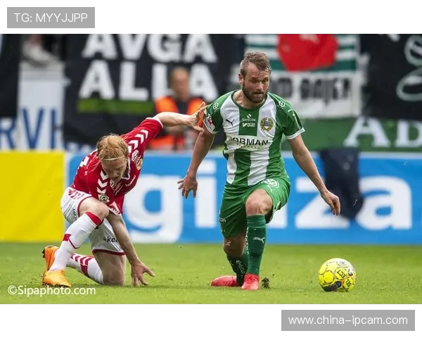 奥斯特与哈马比激战在即谁能在这场较量中脱颖而出